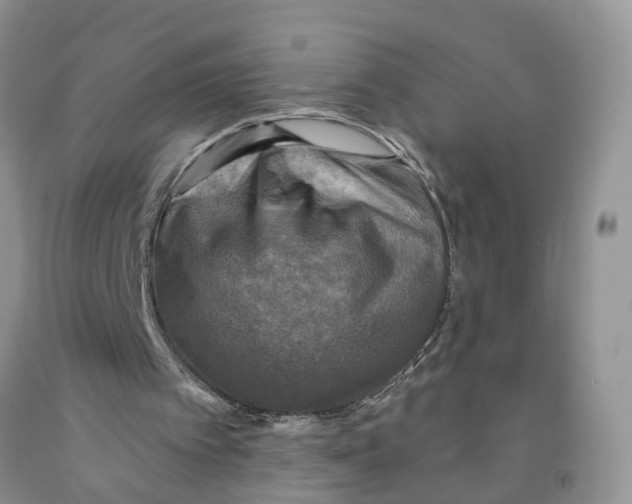 X0000091290097200709071040