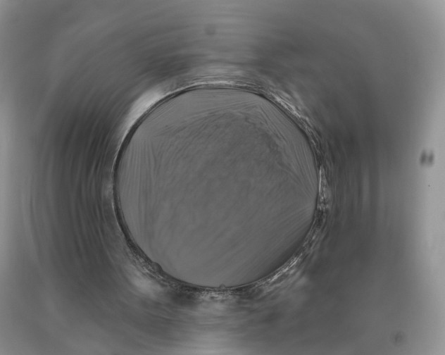 X0000091290099200709071040