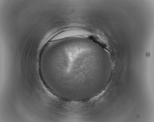 X0000091290101200709071040