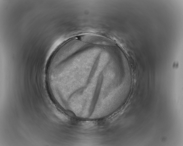 X0000091290102200709071040