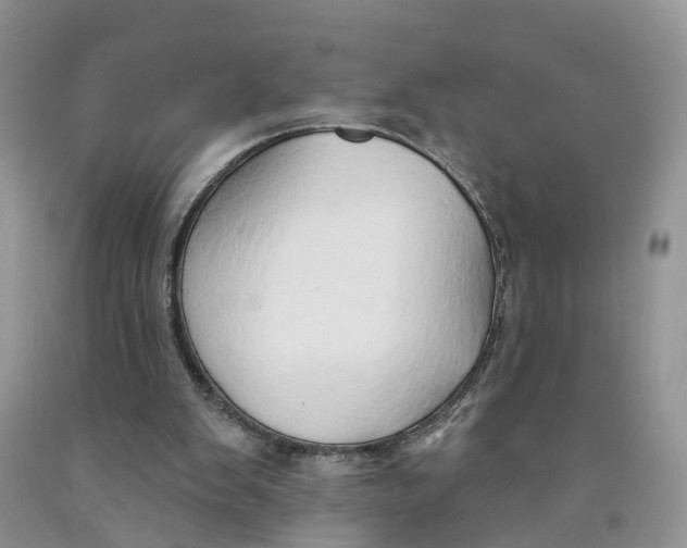 X0000091290103200709071040