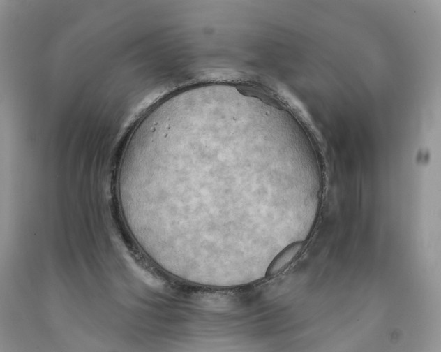 X0000091290106200709071040