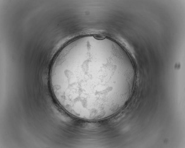 X0000091290107200709071040