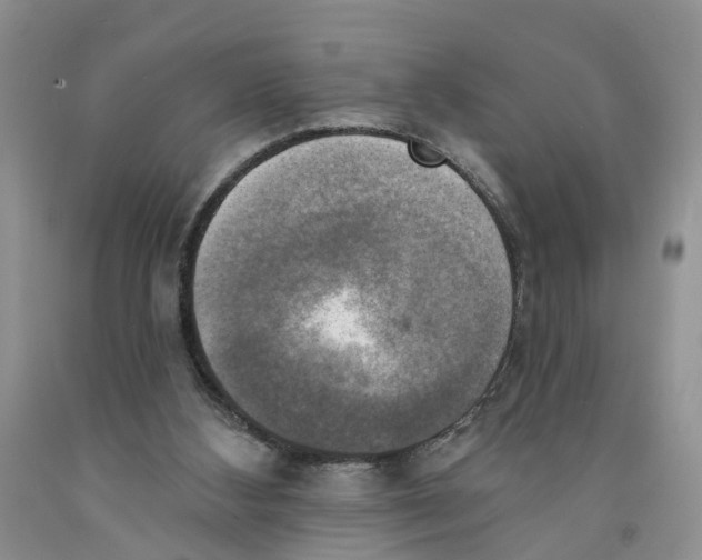 X0000091290108200709071040