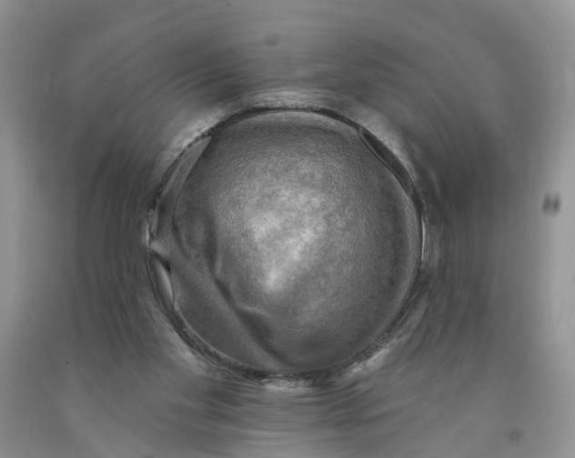 X0000091290109200709071040