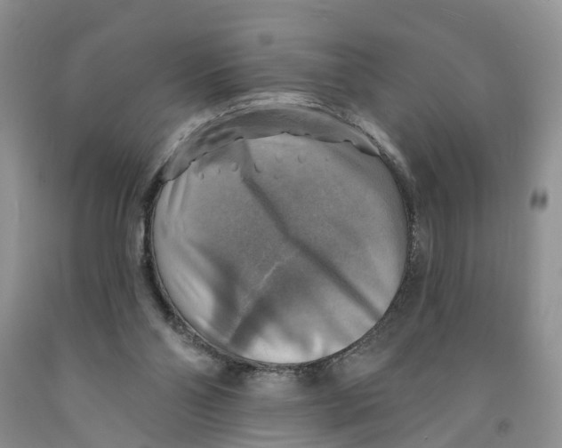 X0000091290110200709071040