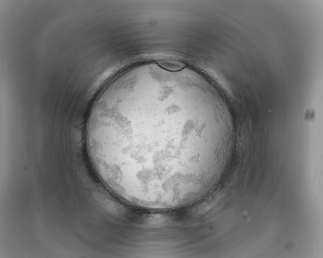 X0000091290111200709071040