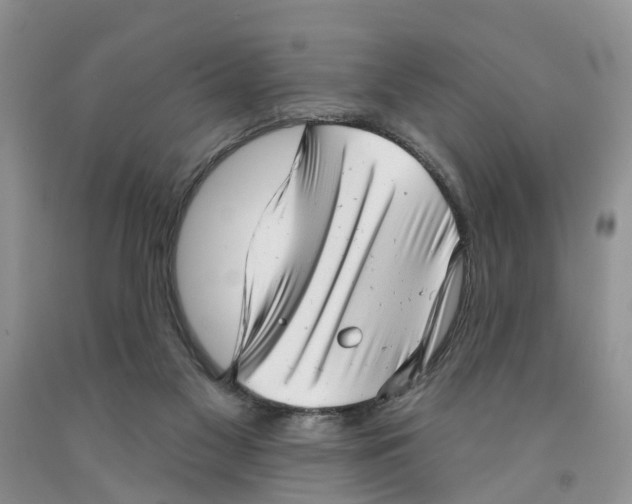 X0000091290117200709071040