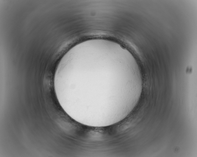 X0000091290119200709071040