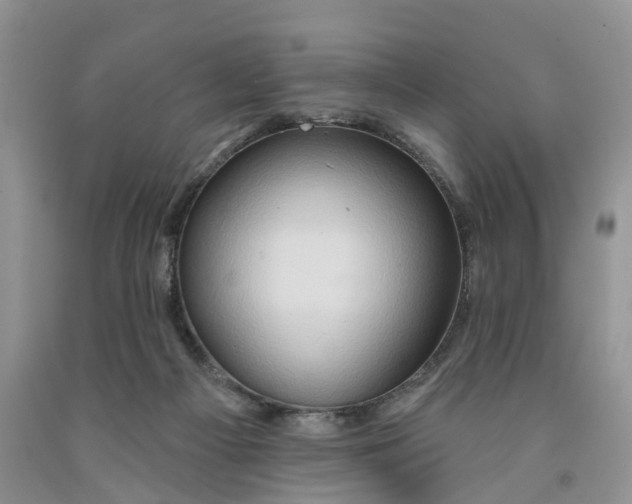 X0000091290121200709071040