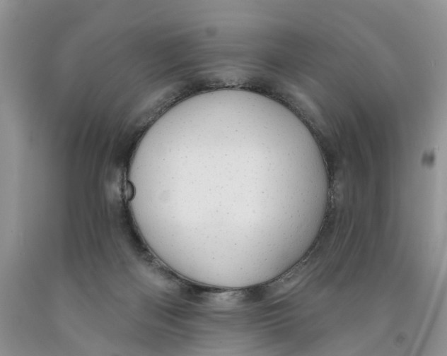 X0000091290122200709071040