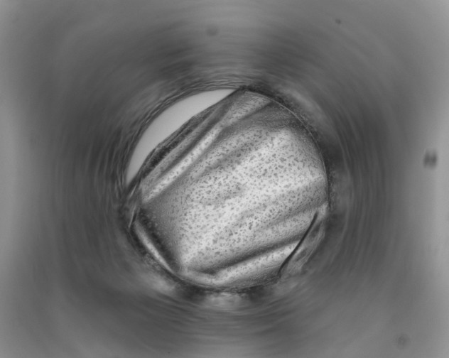 X0000091290125200709071040