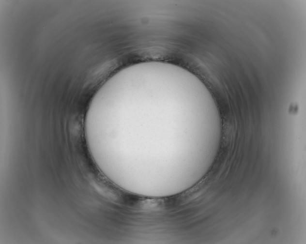 X0000091290126200709071040