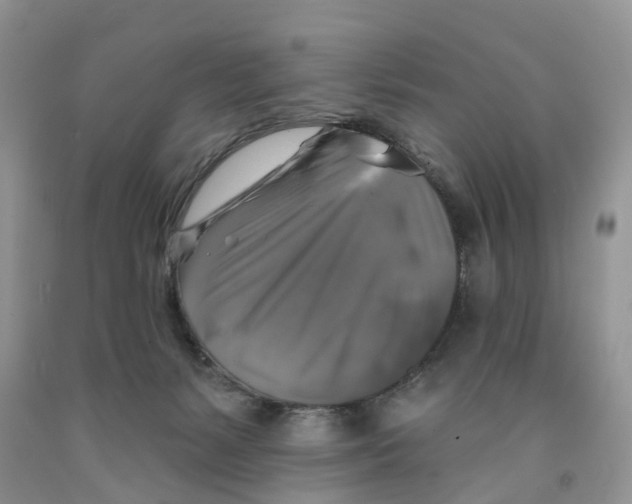 X0000091290127200709071040