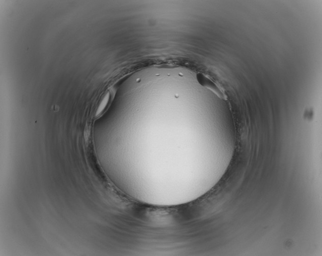 X0000091290129200709071040