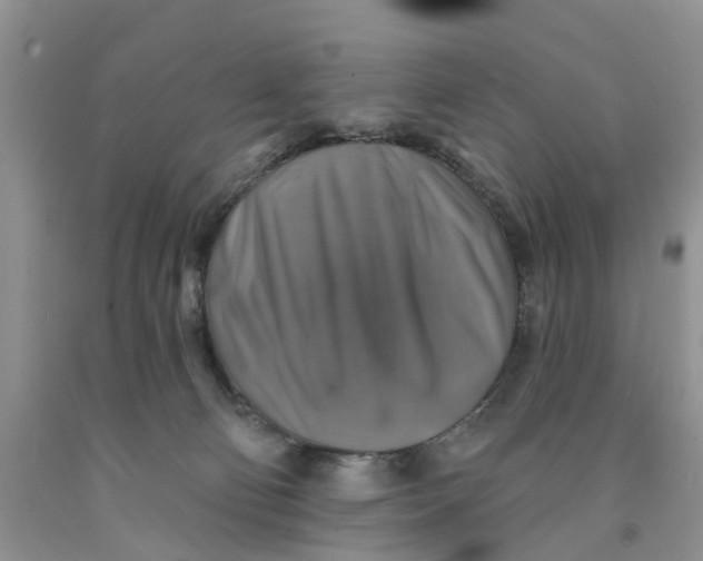 X0000091290130200709071040