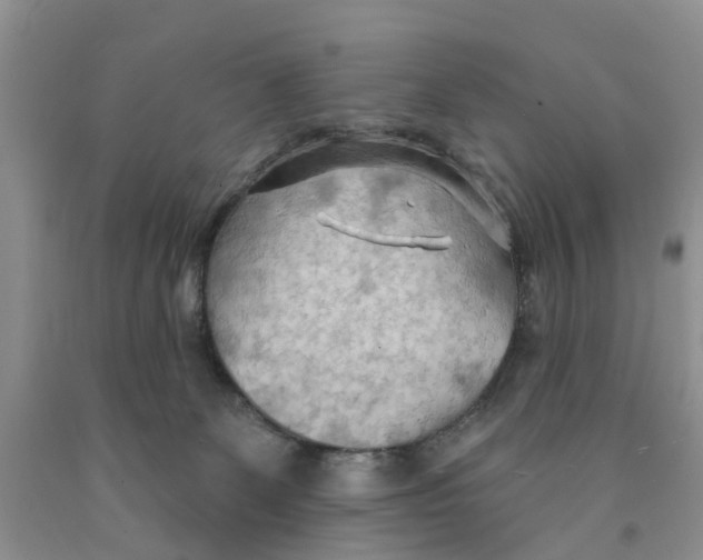 X0000091290131200709071040