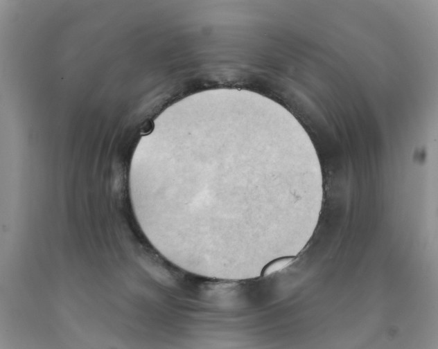 X0000091290132200709071040