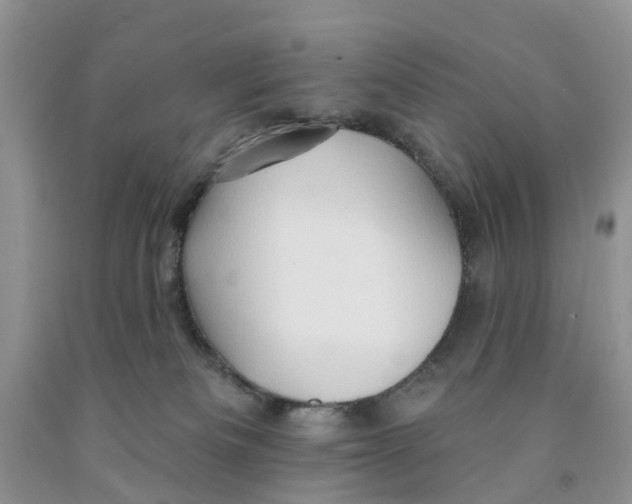 X0000091290133200709071040