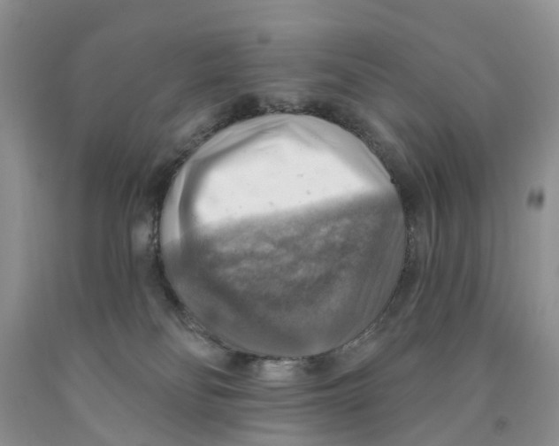 X0000091290134200709071040