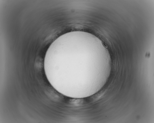 X0000091290135200709071040