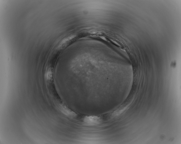 X0000091290137200709071040