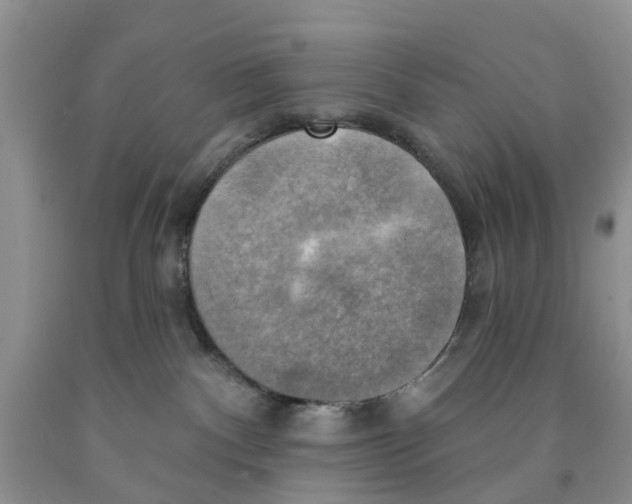 X0000091290140200709071040