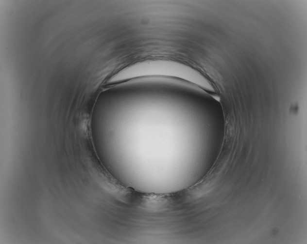 X0000091290141200709071040