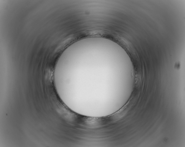 X0000091290142200709071040