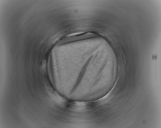 X0000091290144200709071040