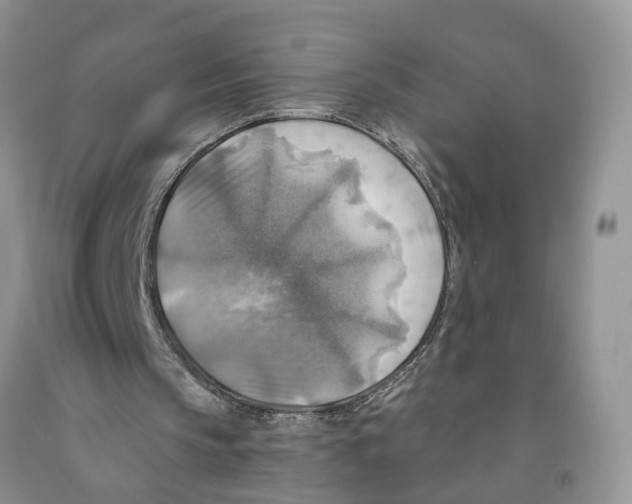 X0000091290145200709071039