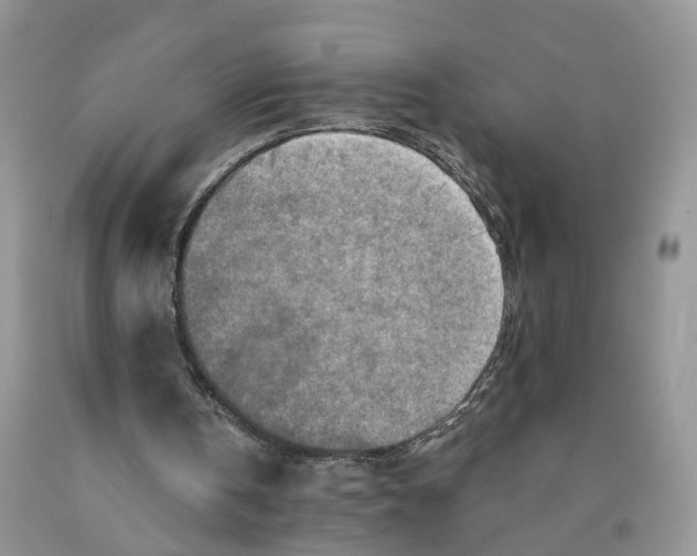 X0000091290146200709071039