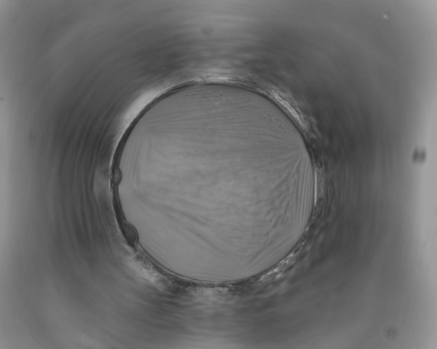 X0000091290147200709071039