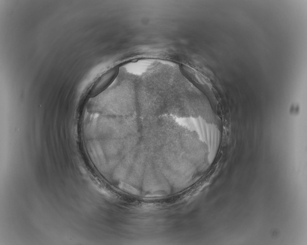 X0000091290149200709071039