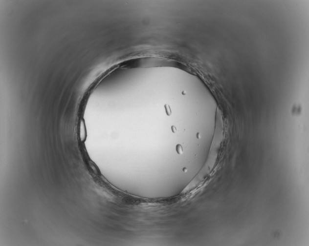 X0000091290150200709071039