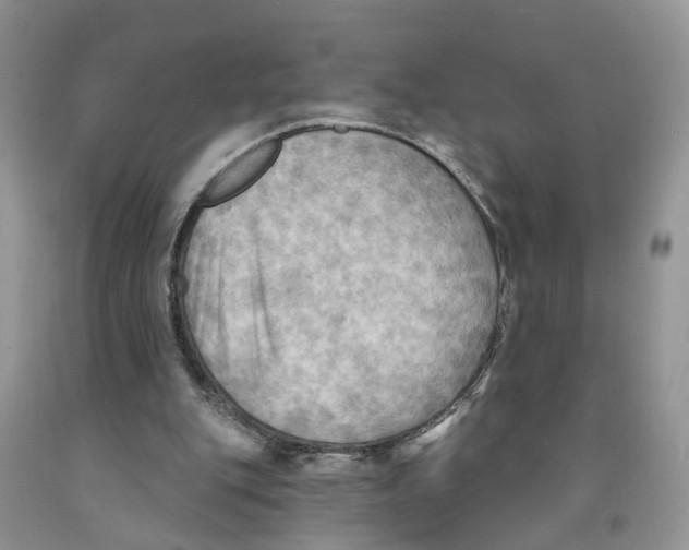 X0000091290151200709071039