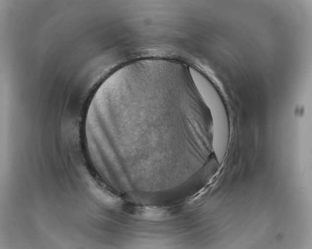 X0000091290154200709071039