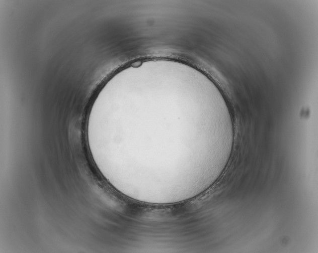 X0000091290155200709071039