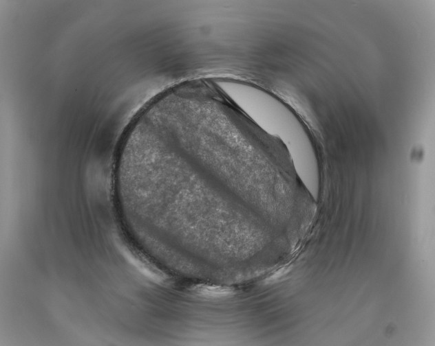 X0000091290156200709071039