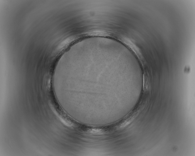 X0000091290157200709071039