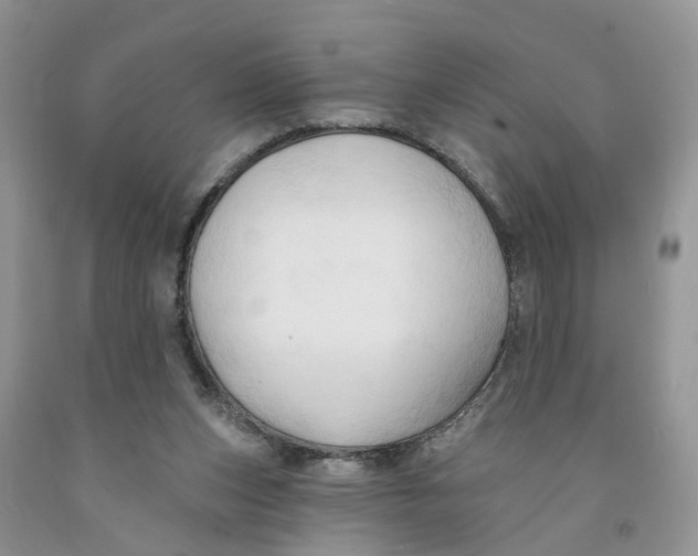 X0000091290159200709071039