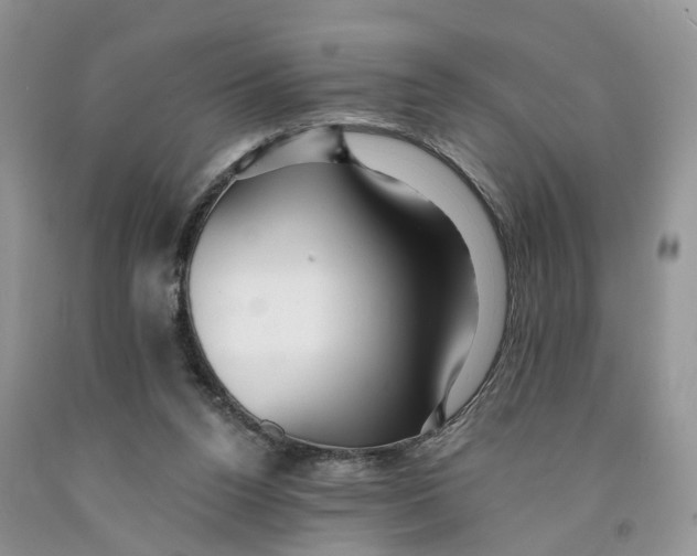 X0000091290160200709071039