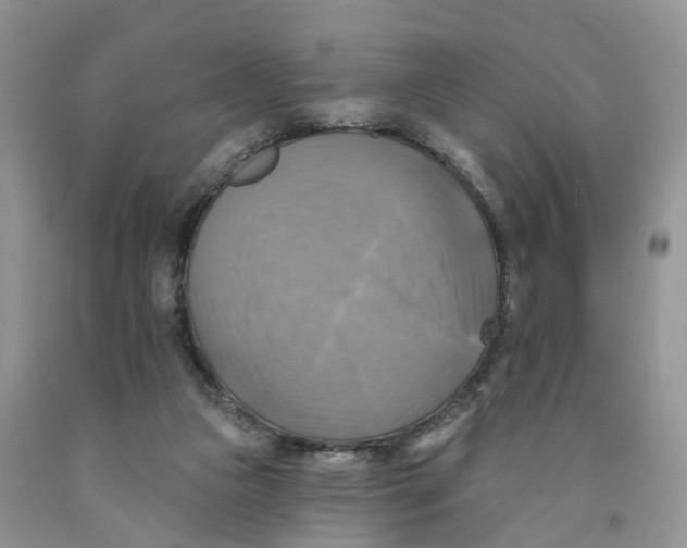 X0000091290161200709071039