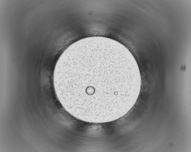 X0000091290162200709071039