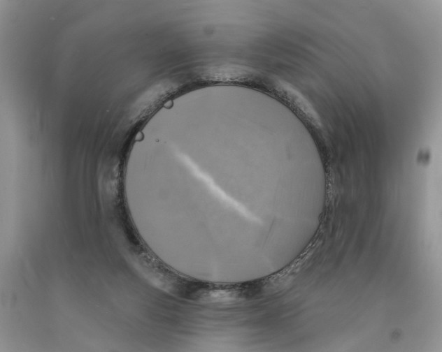 X0000091290163200709071039