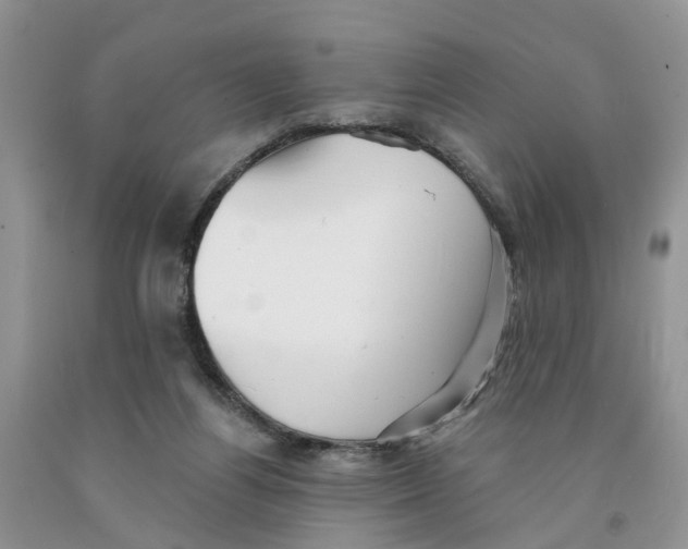 X0000091290164200709071039