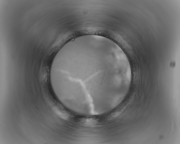 X0000091290165200709071039