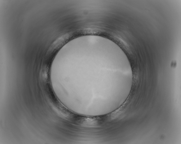 X0000091290166200709071039