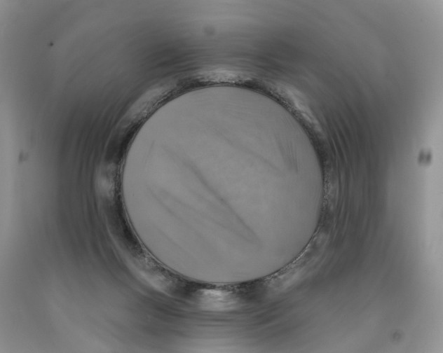 X0000091290167200709071039