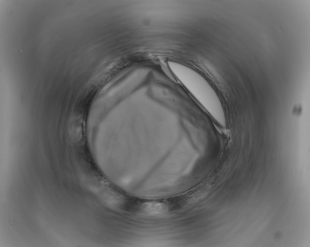 X0000091290169200709071039